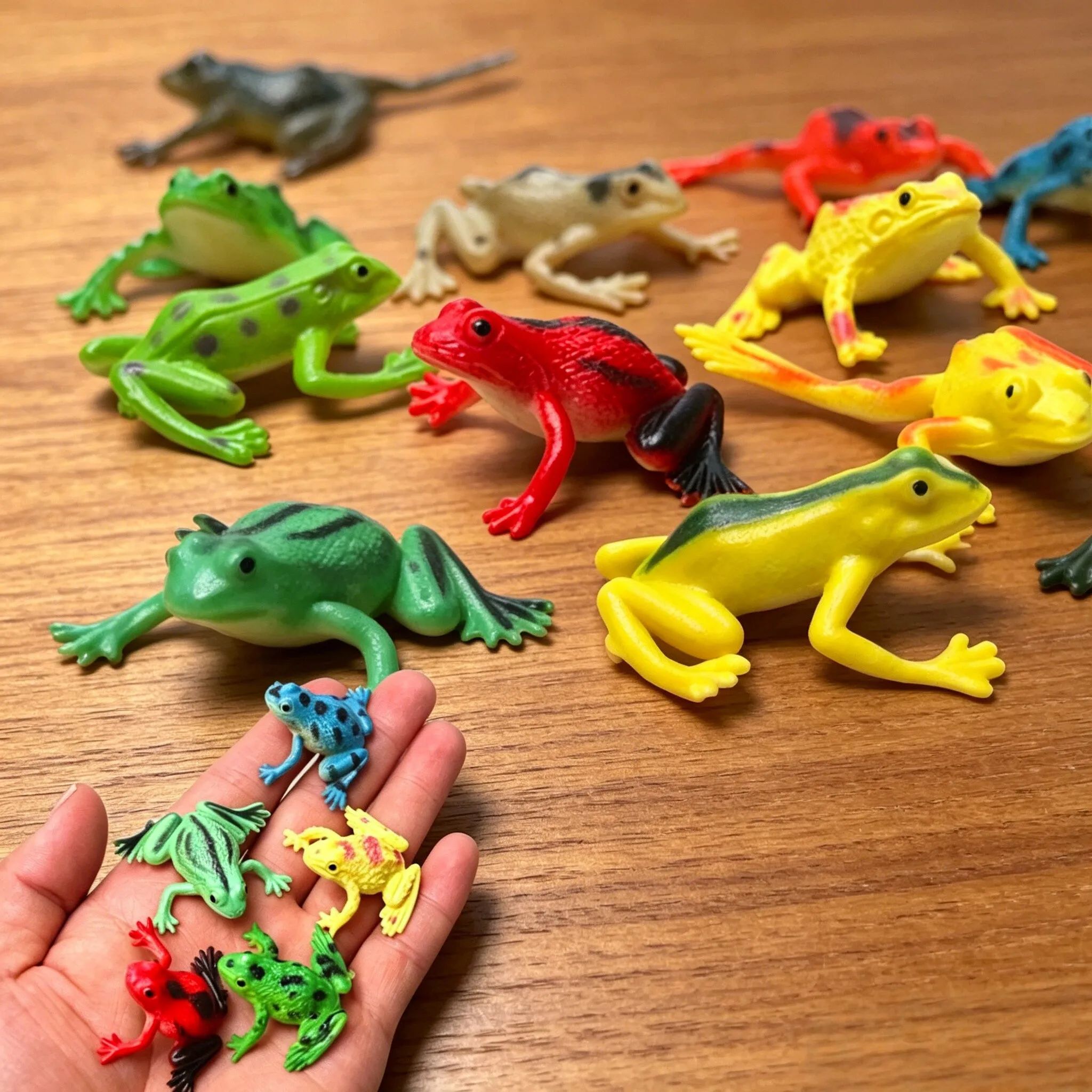 12Pcs 현실적인 개구리 동상 어린이 과학 장난감 P - Hobby Is Science 리뷰 및 가격